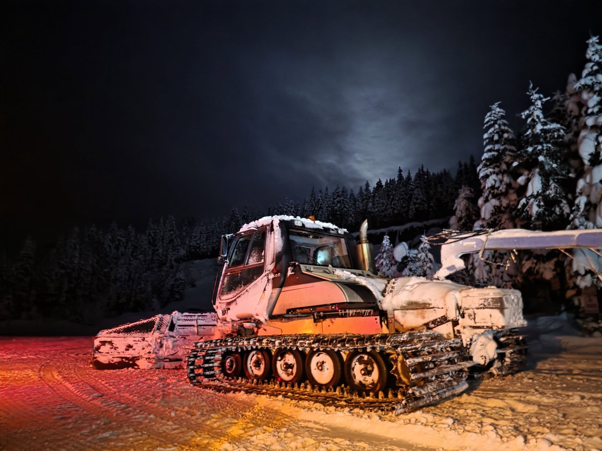 Halo Grooming McBride BC