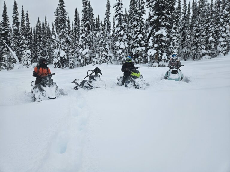 610885031_1301596942011831_7488880650794011405_n