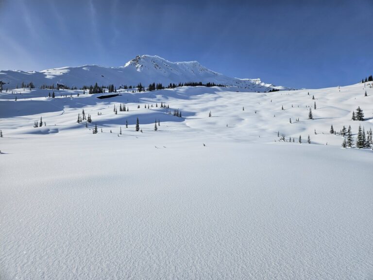 622679468_1324220163082842_3269134058740977359_n